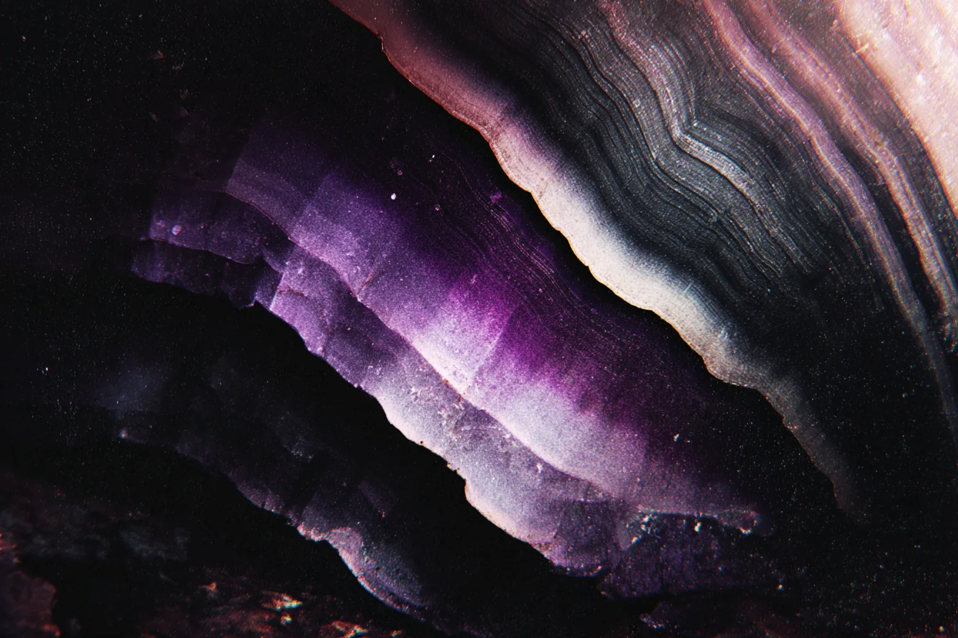 Organic mass suggesting cortical tissue, smooth outer surface barely visible against near-black